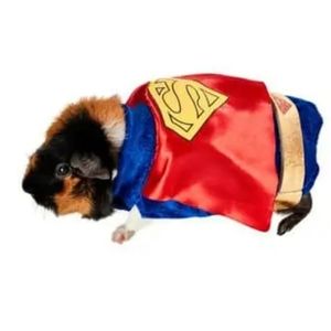 Superman Small Pet Costume